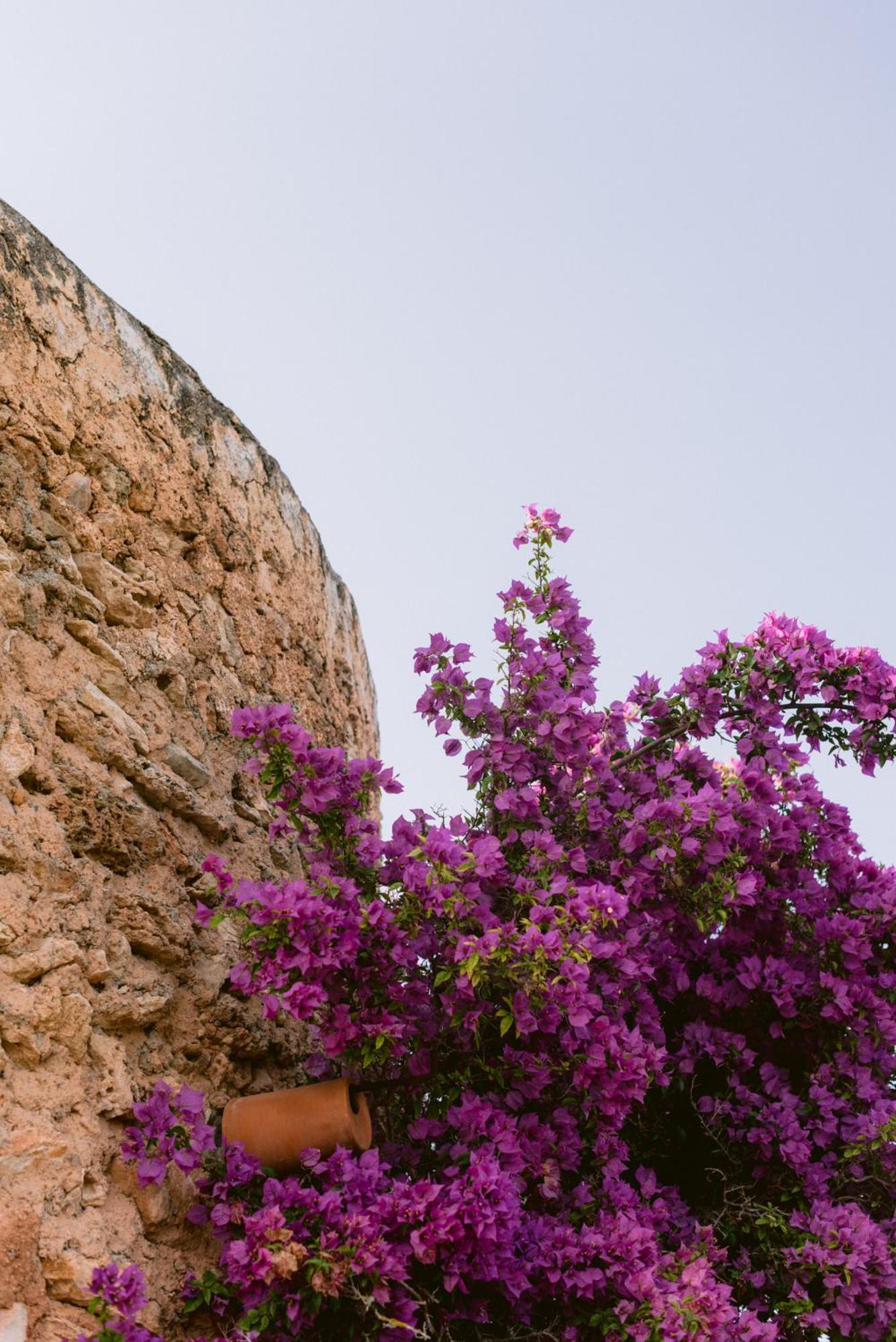 Can Quince Balafia Ibiza Hotel - Turismo De Interior Sant Llorenc de Balafia Eksteriør billede
